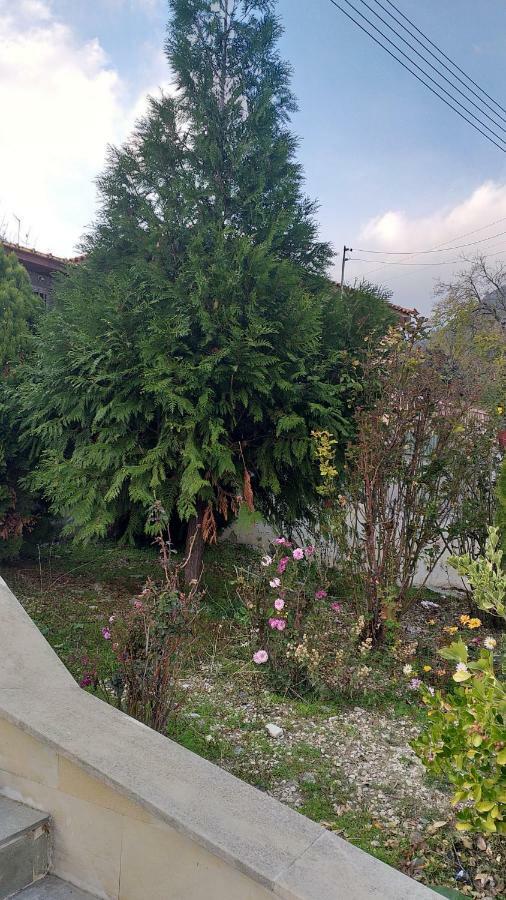 Protopapas House Kato Amiandos 외부 사진